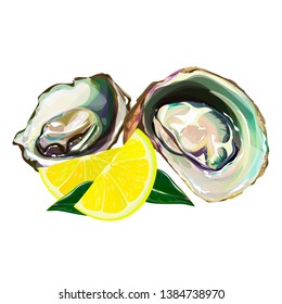 Oyster isolated on white background. Vector illustration of raw clam. Seafood menu