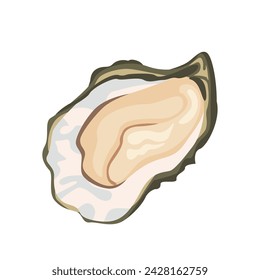 Oyster isolated on white background. Vector cartoon illustration. Fresh seafood icon.