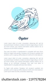 Oyster marine creature as common seafood flat vector illustration in sketch style. Nautical information poster on white and blue spots with text.