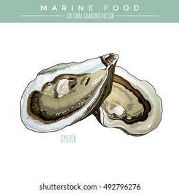 Oyster. Marine Food