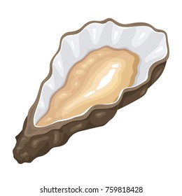 Oyster marine mollusks. Open shell large flat fish, favorite seafood source to serve in restaurant. Vector flat style cartoon illustration isolated on white background