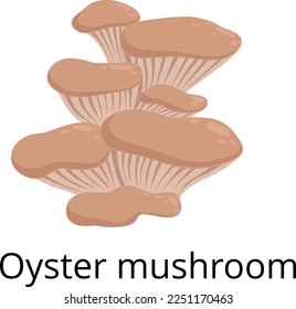 Oyster mushroom cartoon icon. Autumn forest fungus