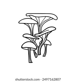 Oyster Mushroom Doodle Line vector. Black line art Hand drawn forest fungus sketch illustration isolated on white background. Food Ingredient