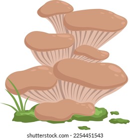 Oyster mushroom in green moss. Cartoon fungus icon