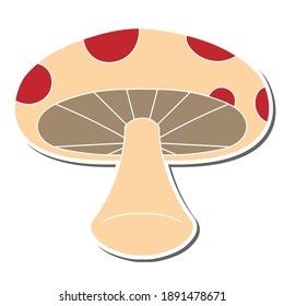 Oyster mushroom hand drawn doodle stickers design vector illustration