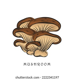 Oyster mushroom hand drawn vector illustration. Vector food drawing isolated on white background. Organic vegetarian product. Great for menu, label, product packaging, recipe. Common edible mushroom