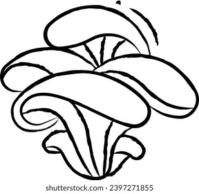 oyster Mushroom hand drawn vector illustration