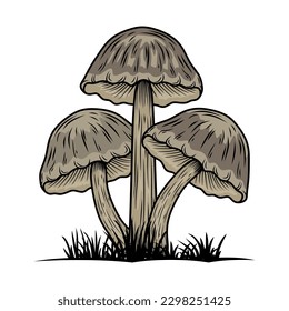 oyster mushroom illustration symbol logo. for trading business types of traditional mushrooms.