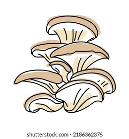 Oyster mushroom. Isolated on white background. Edible forest mushrooms. Line art with splashes of color added. Pastel colors. Vector illustration.