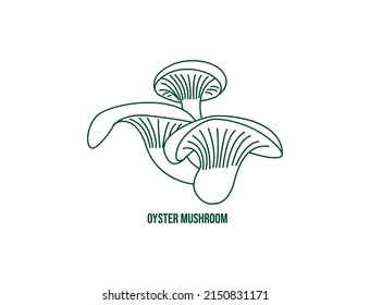 oyster mushroom line art vector illustration 