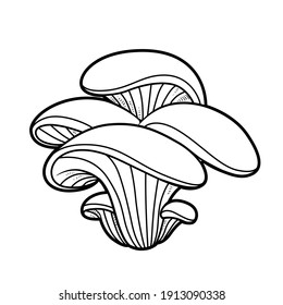 Oyster Mushroom Linear Drawing On White Background