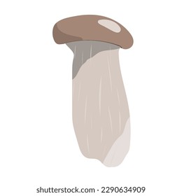 Oyster mushroom, Mushrooms icon hand drawing