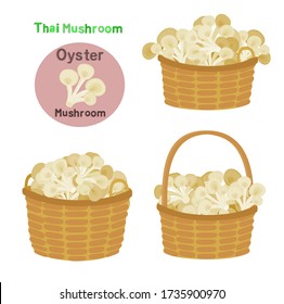 Oyster Mushroom on Background Vector