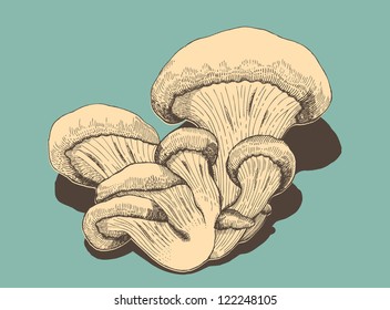 Oyster mushroom in retro style