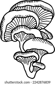 Oyster mushroom sketch. Tree fungus. Hand drawn icon