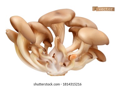 Oyster mushrooms. 3d vector realistic food illustration