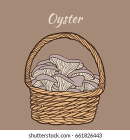 Oyster mushrooms in a basket. Colored hand drawn vector illustration.