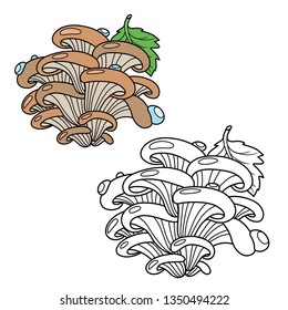 Oyster mushrooms with a green leaf color and outlined for coloring page