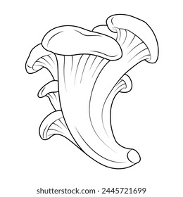 Oyster mushrooms. Hand drawn Line art. Black and white isolated on white background. Coloring page for kids and adults. Vector illustration.