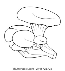 Oyster mushrooms. Hand drawn Line art. Black and white isolated on white background. Coloring page for kids and adults. Vector illustration.