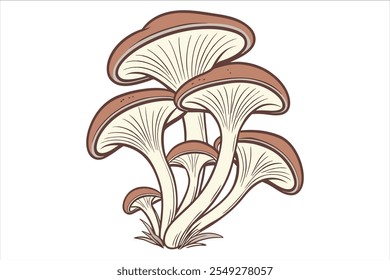  oyster mushrooms isolated on white background. Vector illustration.