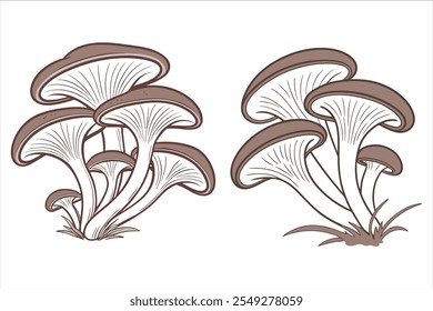  oyster mushrooms isolated on white background. Vector illustration.