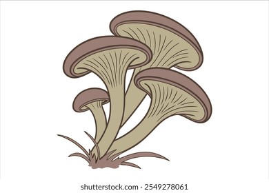  oyster mushrooms isolated on white background. Vector illustration.