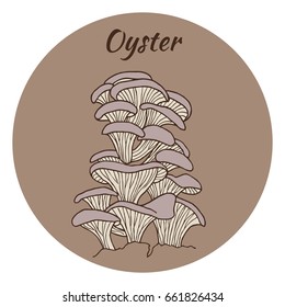 Oyster mushrooms in nature. Colored hand drawn vector illustration.