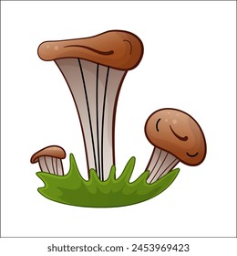 Oyster mushrooms vector isolated illustration. Theme of plants, botanists in cartoon style. Design element for theme forest mushrooms, menu, ingredients, recipes, organic products, etc