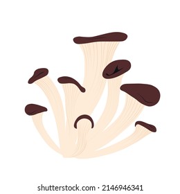 Oyster mushrooms vector stock illustration. Mushrooms of honeydew. Isolated on a white background.