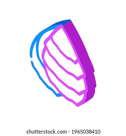 oyster ocean isometric icon vector. oyster ocean sign. isolated symbol illustration