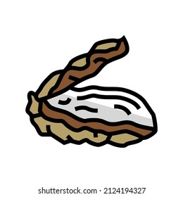 Auster öffnete die Shell Farbe Symbol Vektorgrafik. Austern öffnete das Schild der Schale. einzelne Symbolillustration