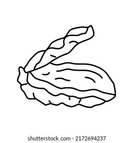 oyster opened shell line icon vector. oyster opened shell sign. isolated contour symbol black illustration