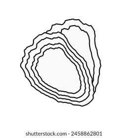 Oyster outline icon isolated on white background.