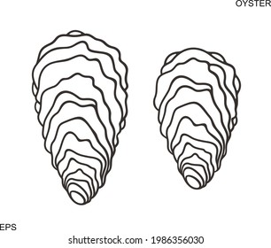 Oyster outline. Isolated oyster  on white background