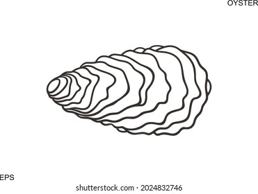 Oyster outline. Isolated oyster  on white background