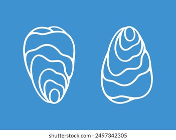 Oyster outline. Isolated oyster  on white background