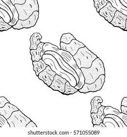 oyster pattern