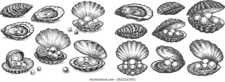 Oyster and Pearl Silhouette Set. Hand drawn vector collection of engraved scallop and clam shells with gems, isolated for restaurant menu or logo design.