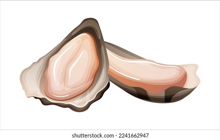 Ostras con carne proteica aislada de fondo blanco. Fresco manjar dentro de la concha. Molusco de marisco para un menú de platos dietéticos saludables. Lujosa comida marina para gourmets en el restaurante del mar. Ilustración del vector