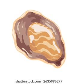 Ostra. Concha do mar, ícone de desenho animado. Molusco aquático exótico da concha subaquática do oceano. Conchas de praia tropicais. Ilustração de desenho animado vetorial