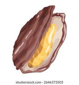 Ostra. Concha do mar, ícone de desenho animado. Molusco aquático exótico da concha subaquática do oceano. Conchas de praia tropicais. Ilustração de desenho animado vetorial