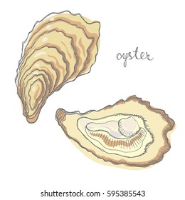 Oyster. Seafood design elements. Seafood / fish menu, poster, label etc. Hand drawn illustration in marker sketch style. Colorful vector illustration.