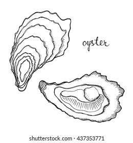 Oyster. Seafood design elements. Seafood menu, poster, label etc. Hand drawn ink sketch illustration. Vector illustration