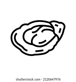 oyster seafood line icon vector. oyster seafood sign. isolated contour symbol black illustration