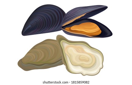 Oyster as Seafood and Marine Delicacy Vector Set
