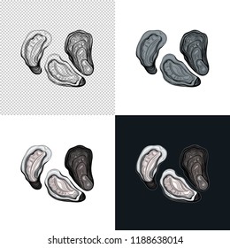 Oyster. Seafood. Vector illustration. Isolated image on white background. Vintage style.