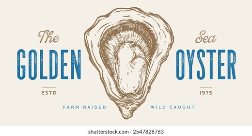 Oyster, seafood. Vintage retro print, seafood oysters sketch, logo sign template, ink pencil style drawing, engrave old school. Hand drawn sketch oysters. Vector Illustration