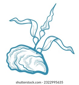 Oyster with seaweed hand drawn sketch vector illustration. Closed oyster shell.