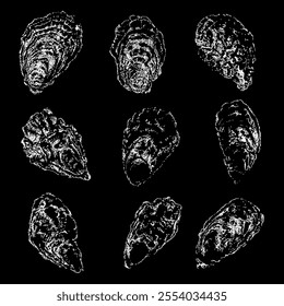 oyster set hand drawing vector isolated on black background.